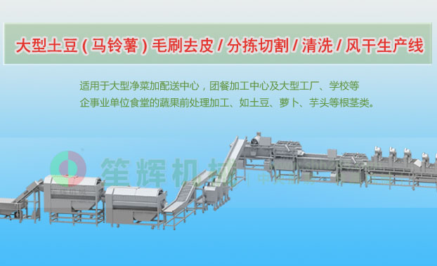 普陀连续式土豆去皮清洗切割风干生产线